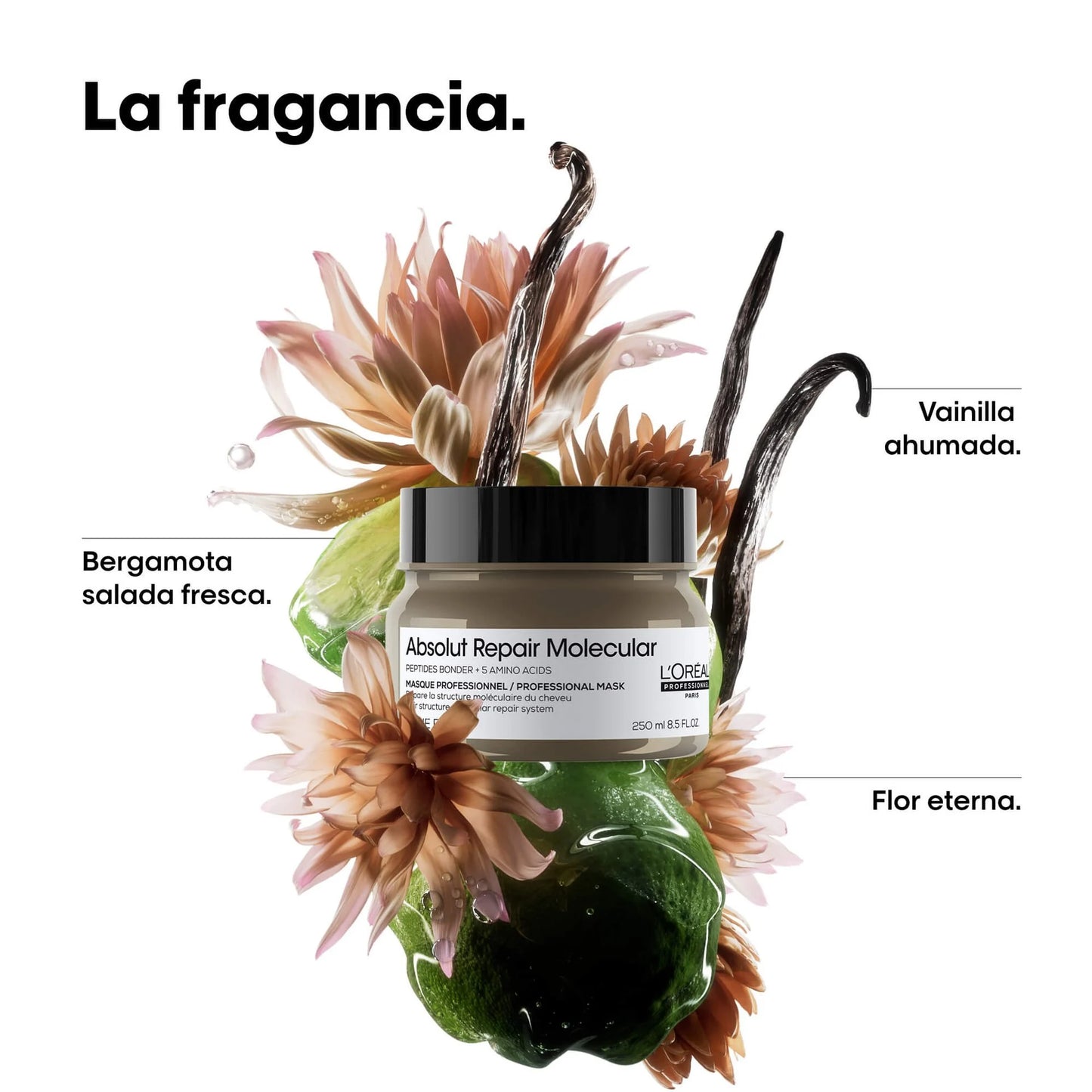 Máscara Profesional Absolut Repair Molecular Loreal 250ml