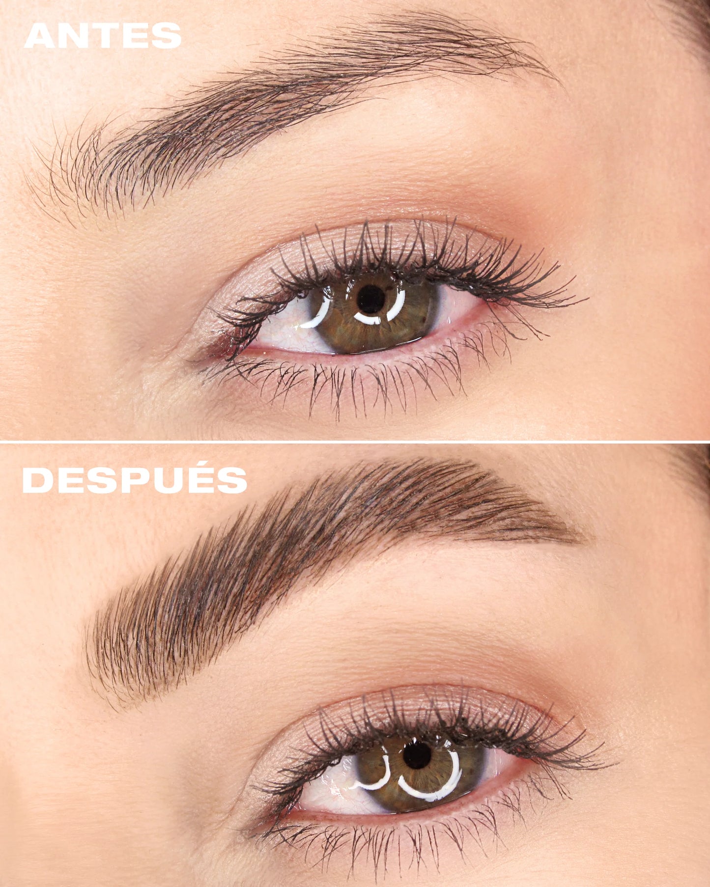Estilizador de cejas - Gel on Fleek Ame
