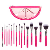Kit De Brochas Watermelon X15 Montoc Kit De Brochas Watermelon X15 Montoc