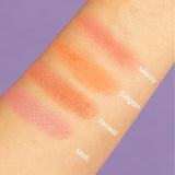 PALETA DE RUBORES MELODY BLUSH MONTOC