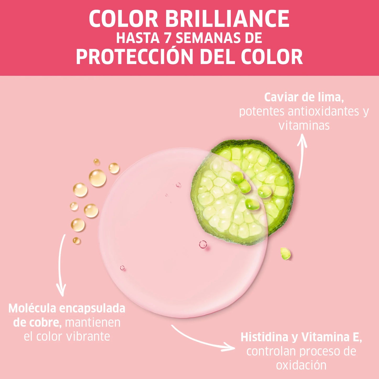 Acondicionador Wella Professionals Invigo Color Brilliance