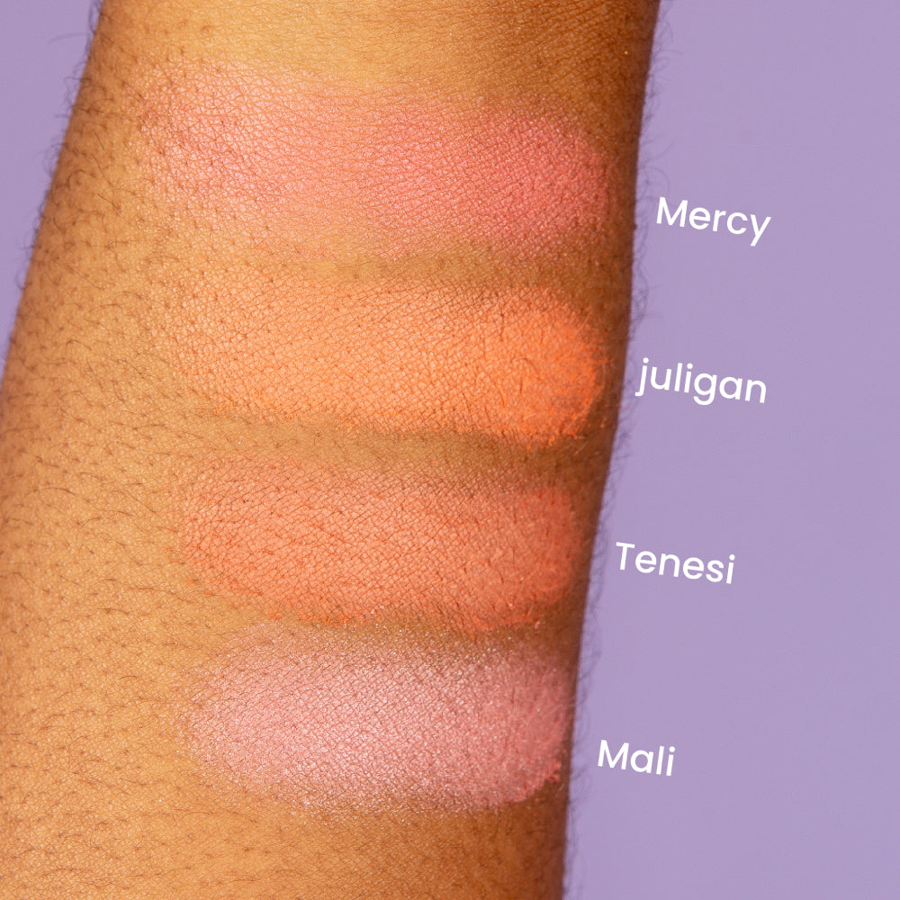 PALETA DE RUBORES MELODY BLUSH MONTOC