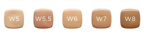 L’Oreal Paris True Match Super-Blendable Foundation Makeup with SPF 17